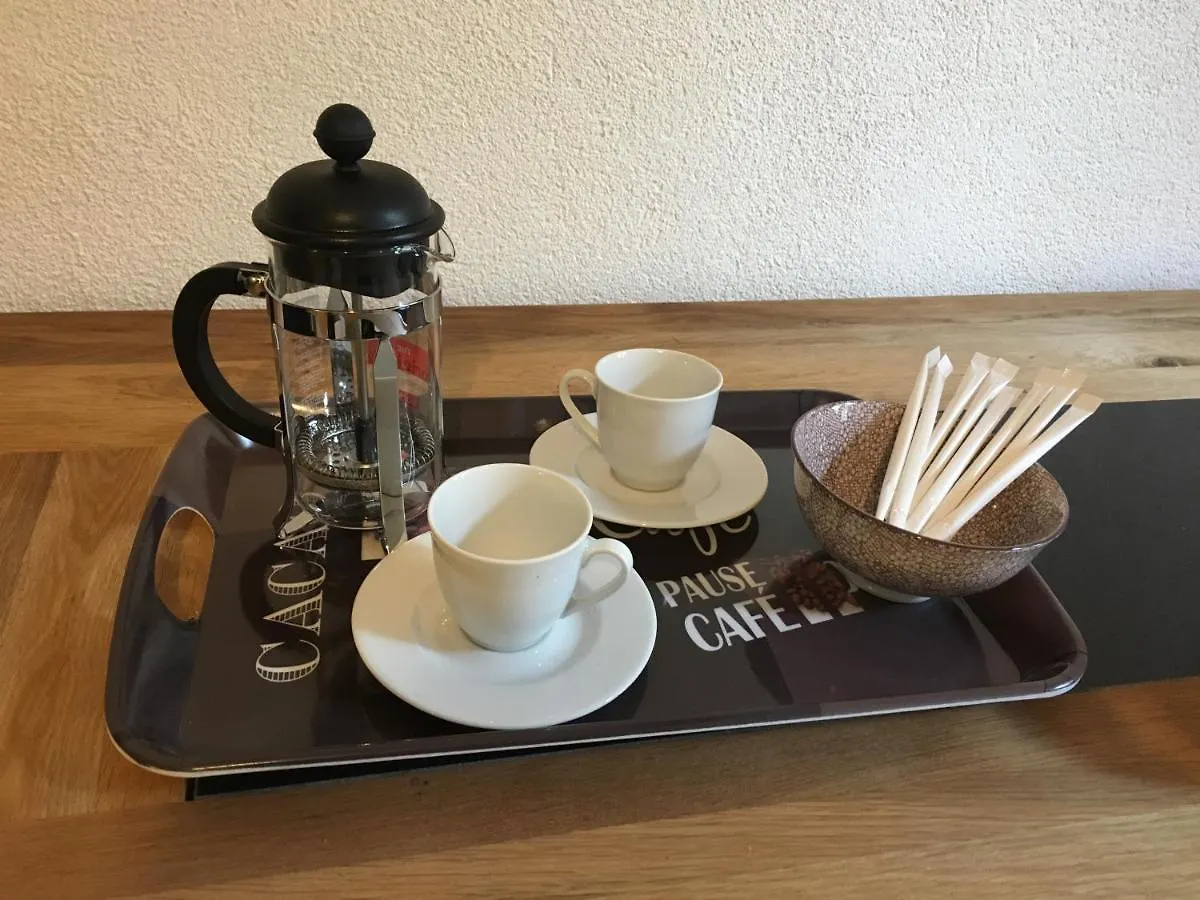 Le Charmant Carnot Annecy Apartment